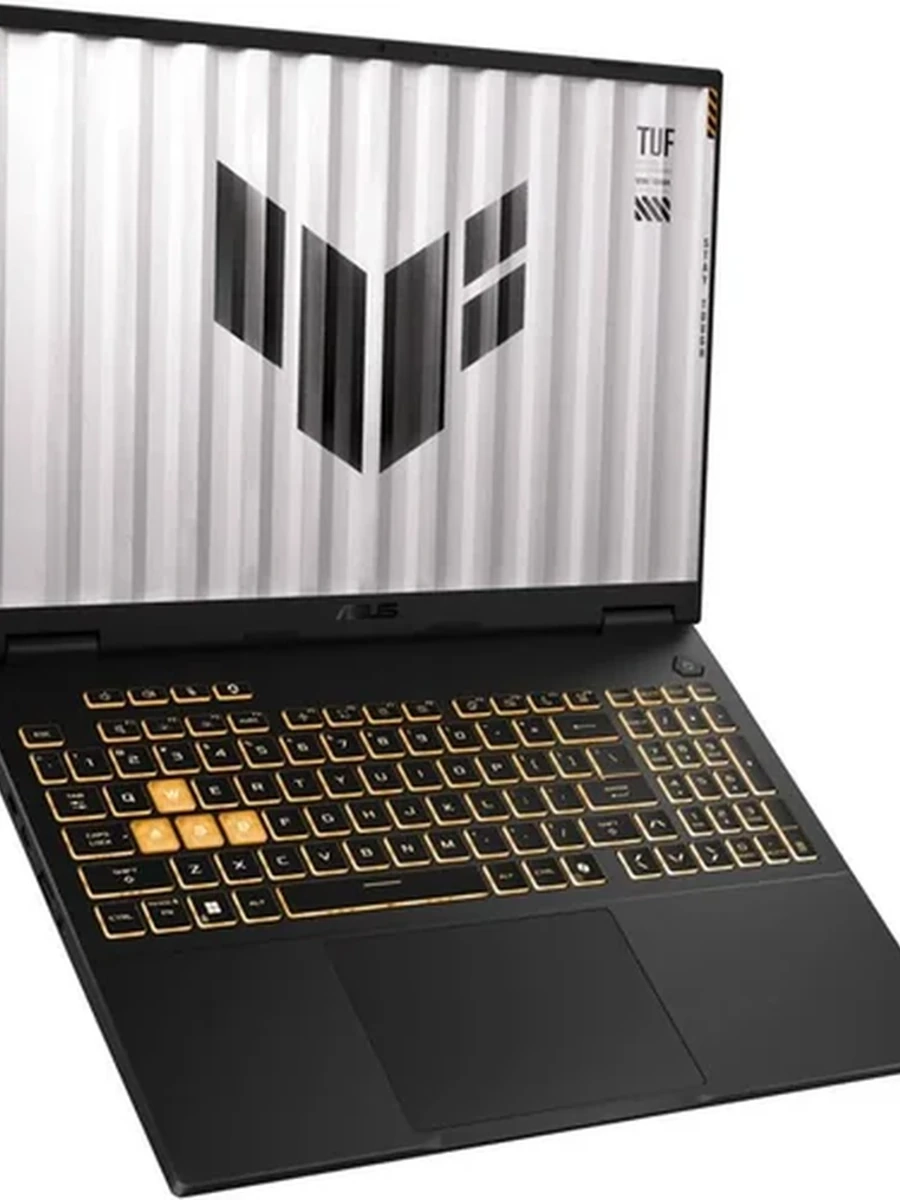 Ноутбук ASUS TUF Gaming F16 FX608JMR-F16.175060    48/512GB