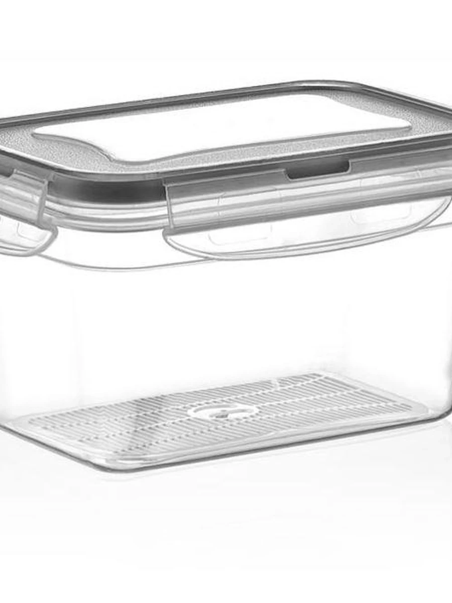 Контейнер 0.7л (2 штук)