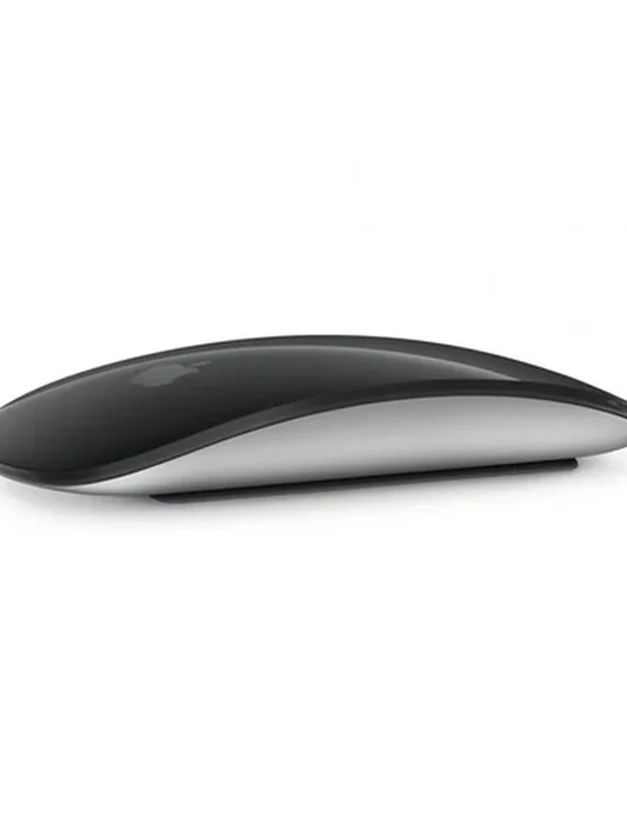 Magic Mouse black type c