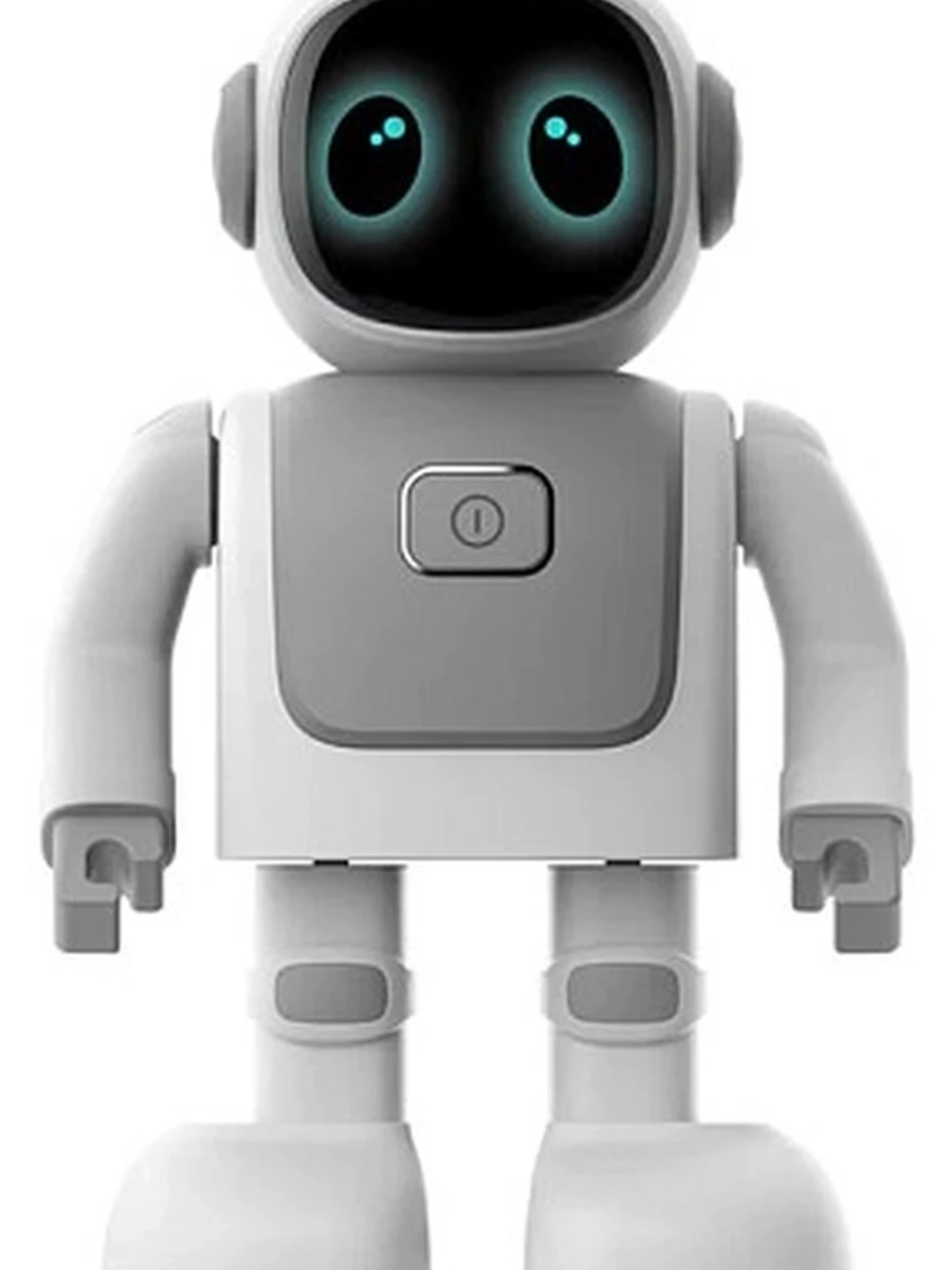 Robot Robert