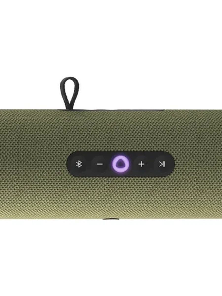 Портативная умная колонка Яндекс YNDX-00030GRN, Яндекс Станция Стрит с Алисой, 30 Вт, 3 микрофона, 80 - 20 000 Гц, Wi-Fi (2,4–5 ГГц), Bluetooth 5.0, Зеленый