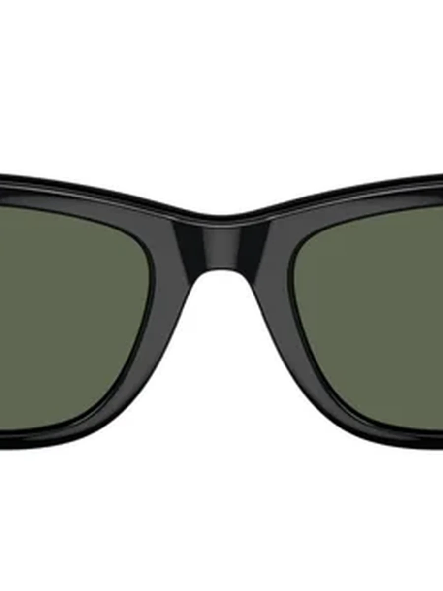 Очки Ray-Ban Wayfarer RW4006 GEN1 Matte Black Transitions Graph Green