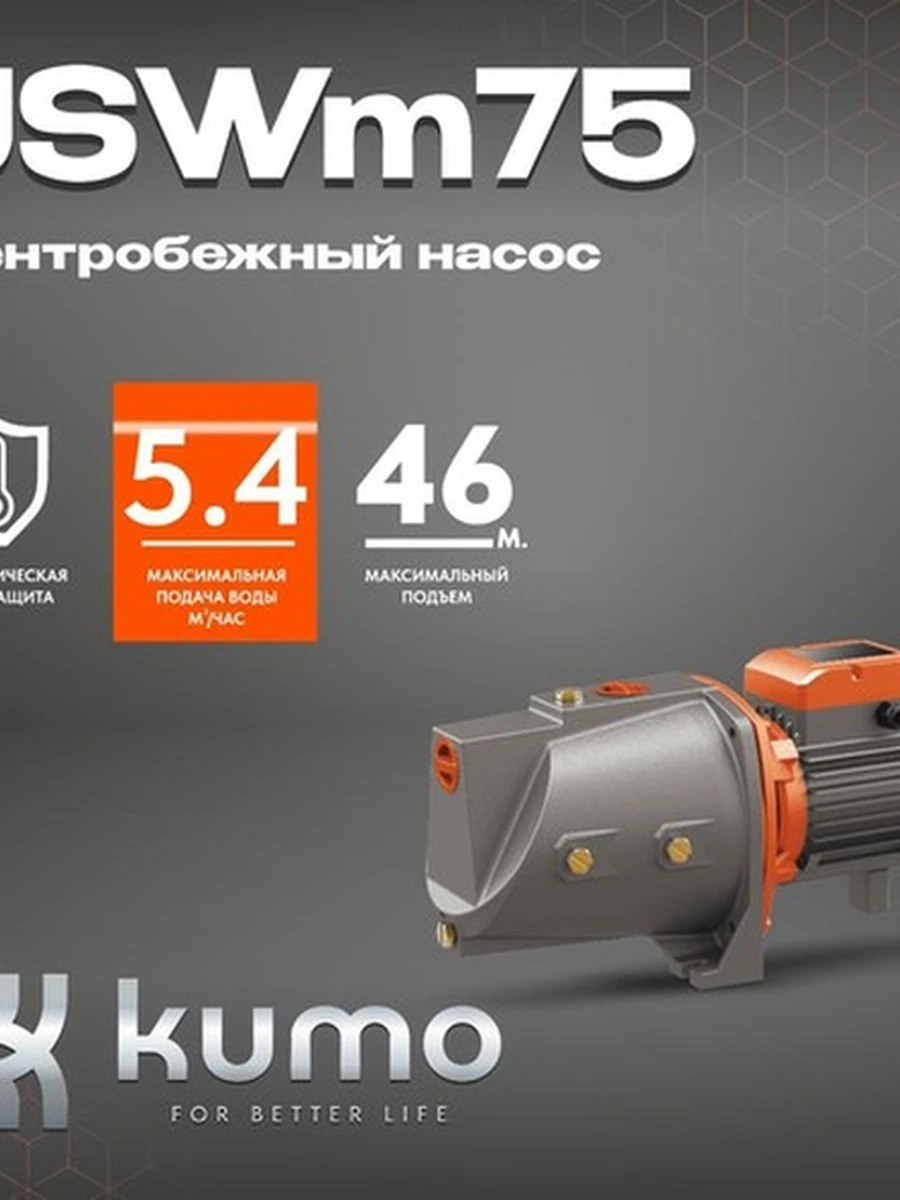 Центробежный насос JSWm75