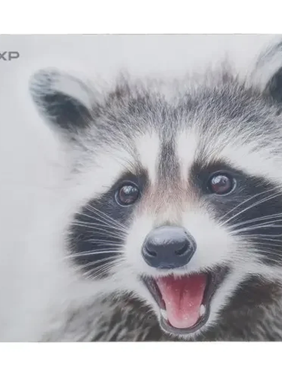 Коврик DEXP Racoon OM-XS [220x180x3 мм]