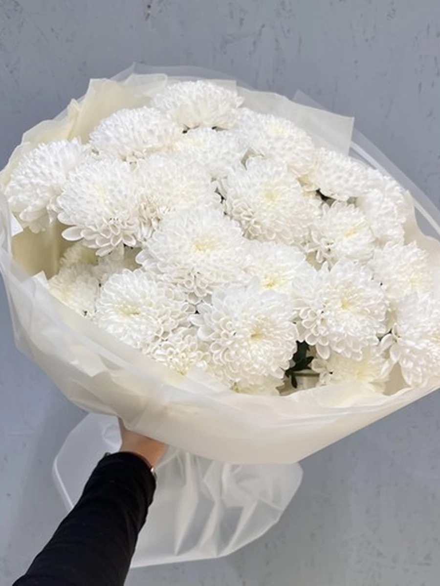 White Harmony