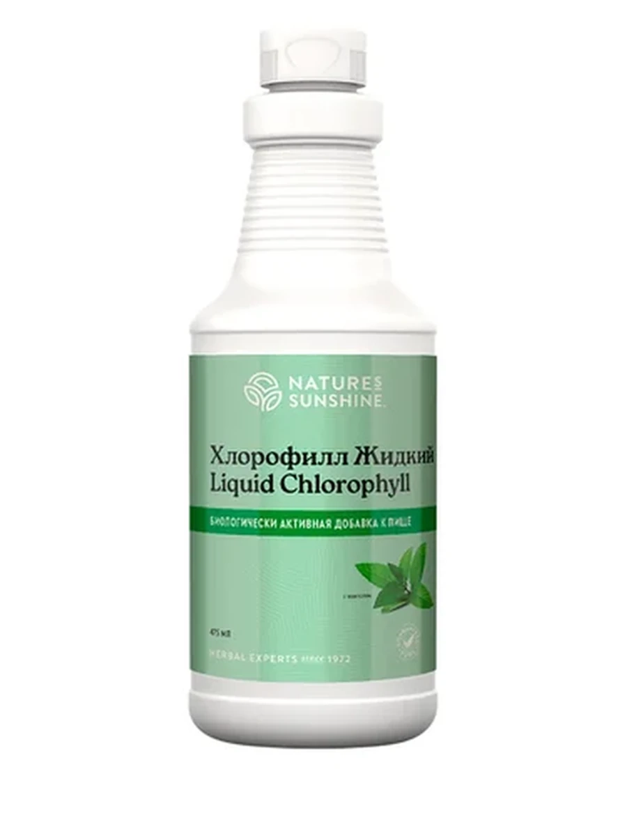 Хлорофилл жидкий NSP / Liquid Chlorophyll NSP
