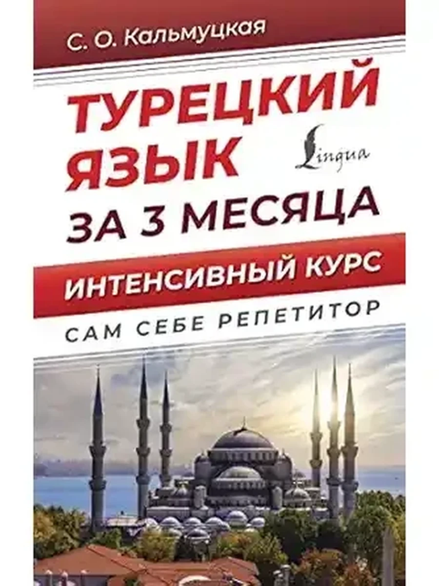 Ин Турецкий язык за 3 месяца. Интенсивный курс. Сам себе репетитор /АСТ/