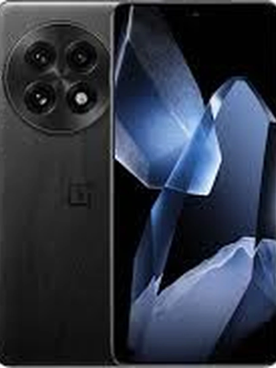 Смартфон OnePlus 13 12/256 IND