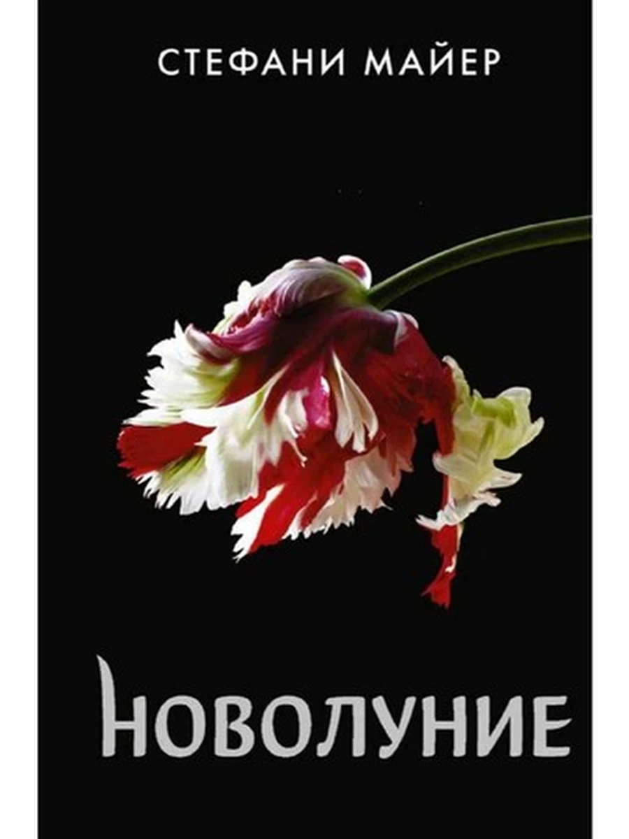 Майер Новолуние (нов.оф.,черная) /АСТ/