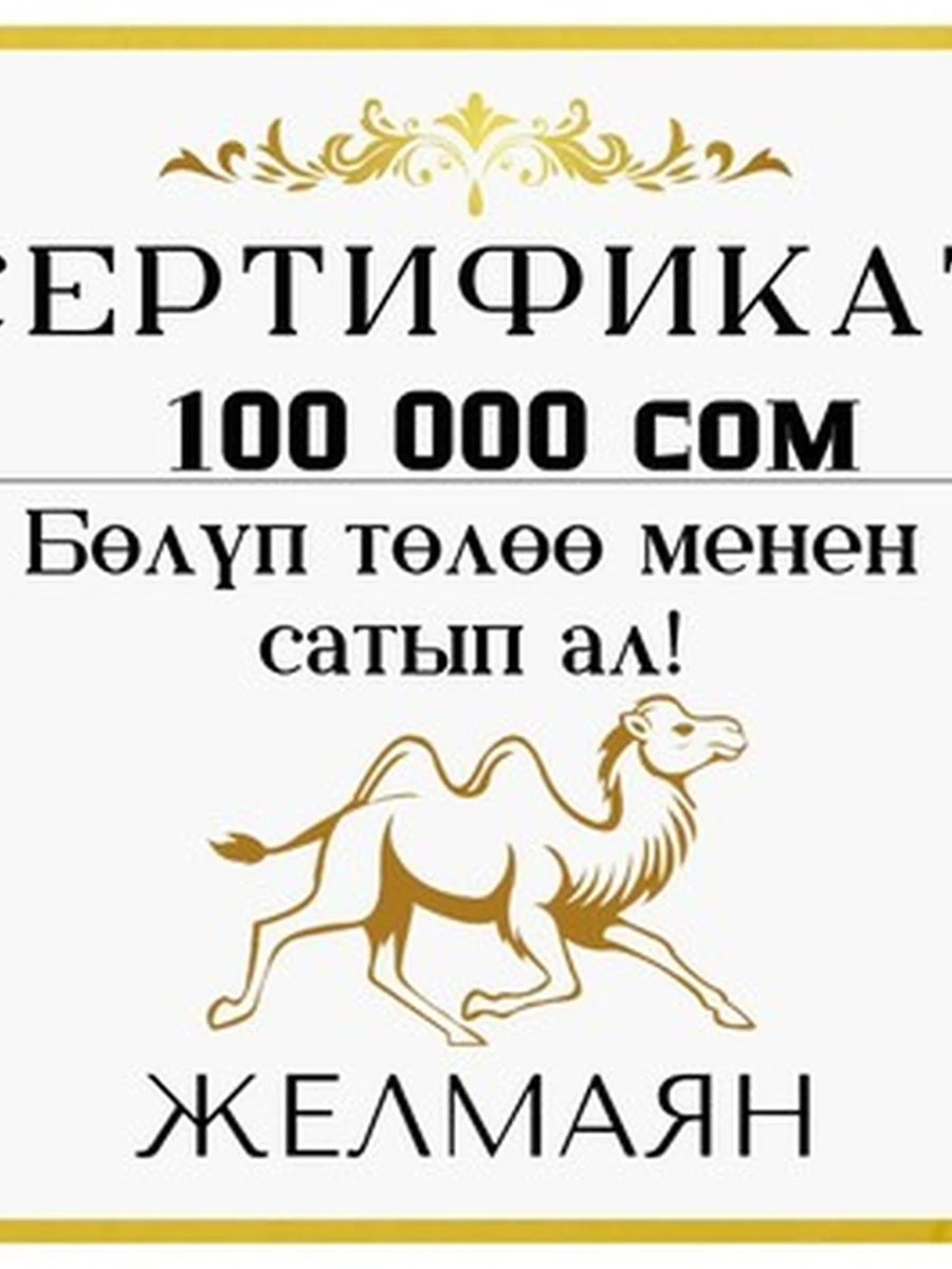 Сертификат на покупку от магазина "Желмаян" на 100 000 сом