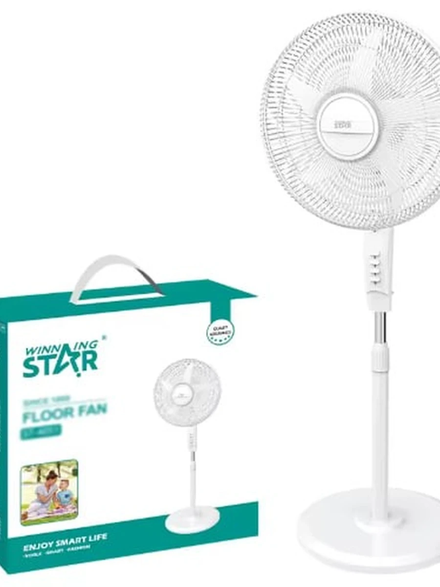 Вентилятор WINNING STAR DFS-1149