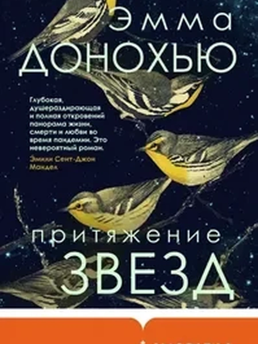Притяжение звезд / Loft. Современный роман
