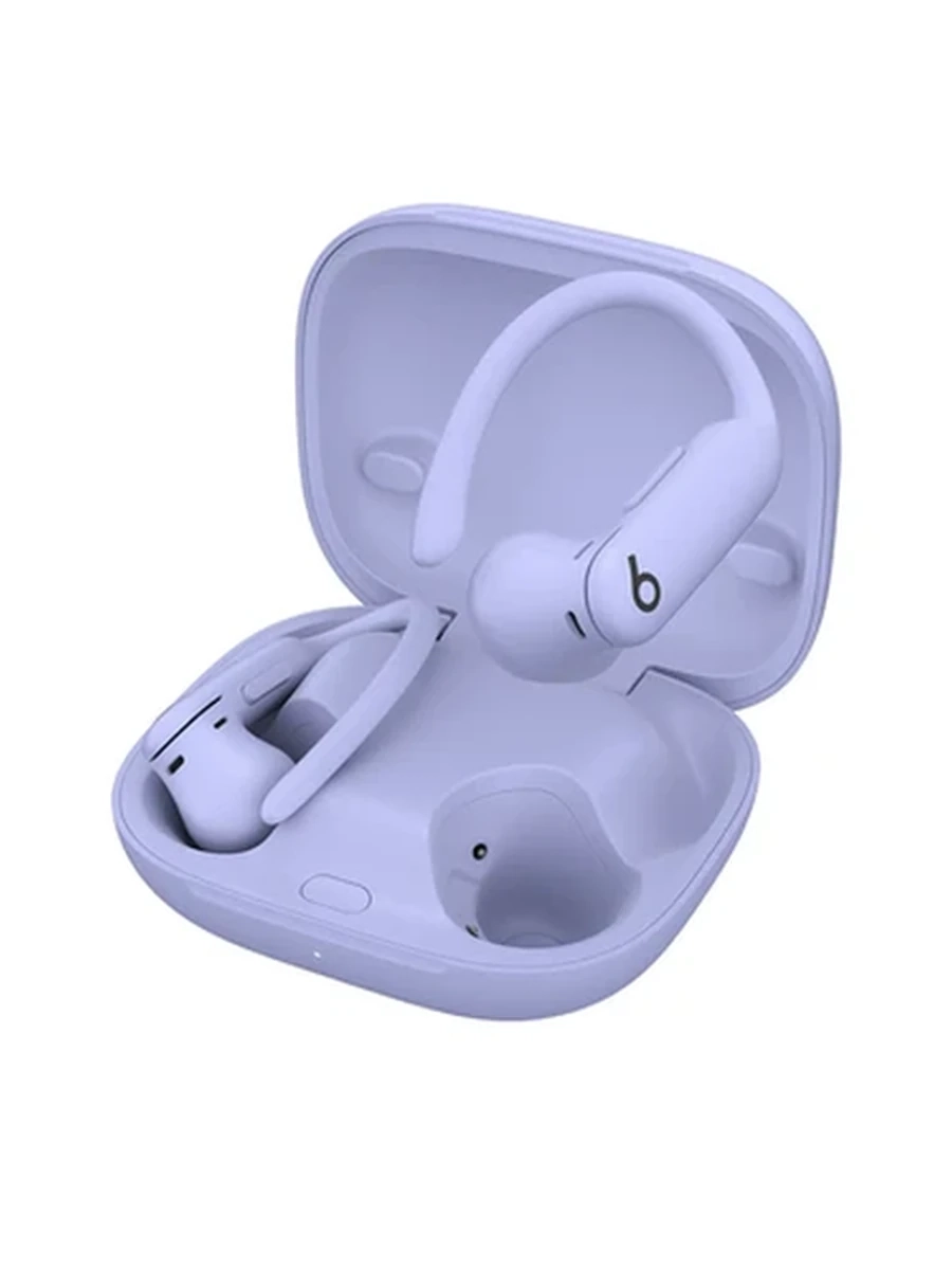 Power Beats Pro 2 Purple
