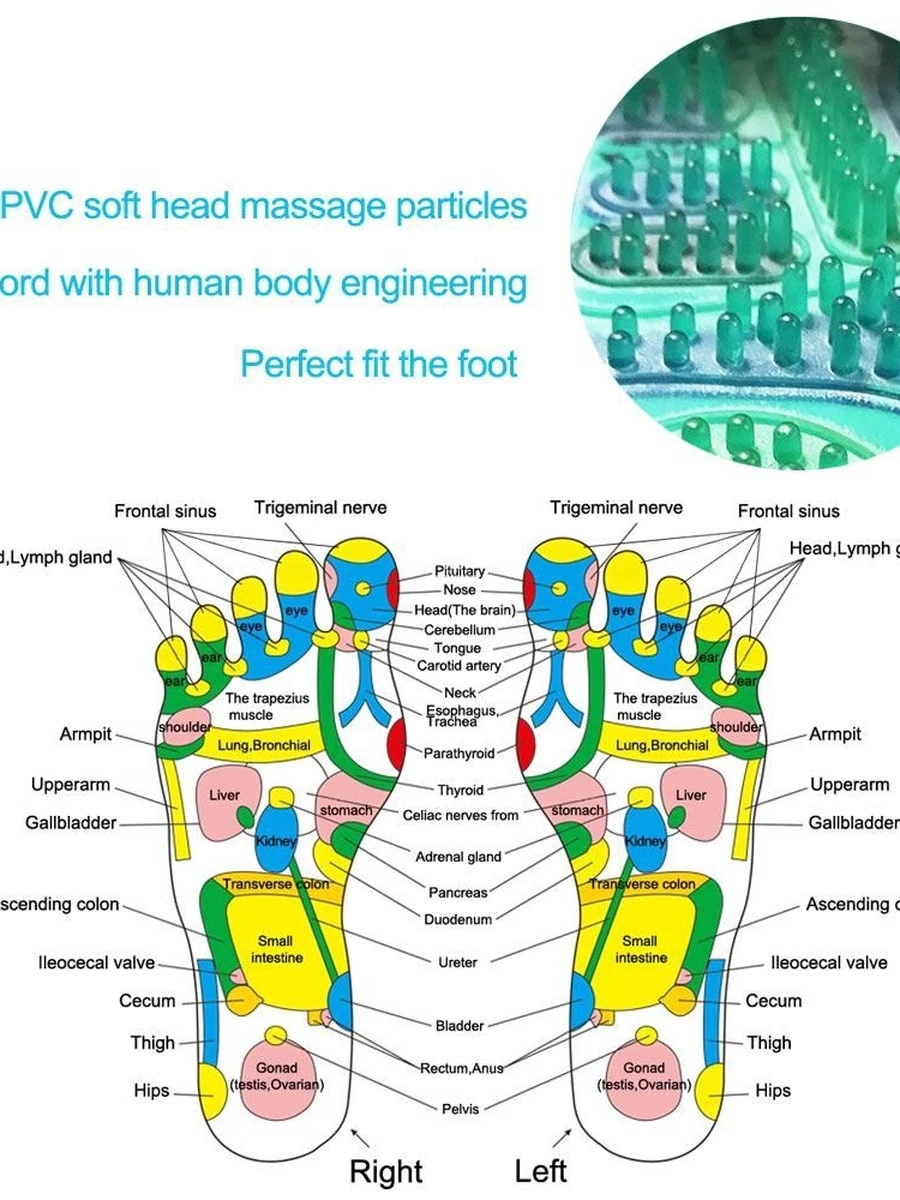 Главная Женщины Мужчины Ноги Акупунктурные массажные тапочки для ног Шиацу Сандалии для ног Акупрессура Терапия Вращающийся массажер для ног