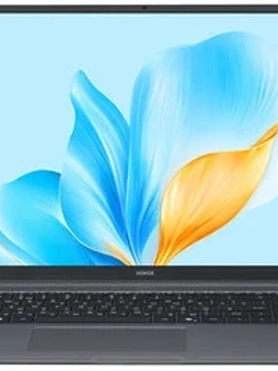 16" Ноутбук Honor MagicBook X16 2025 (5301ALXQ/BRG-585)(WUXGA/IPS) i5 13420H/8192/SSD 512/UMA/NoOS/Grey