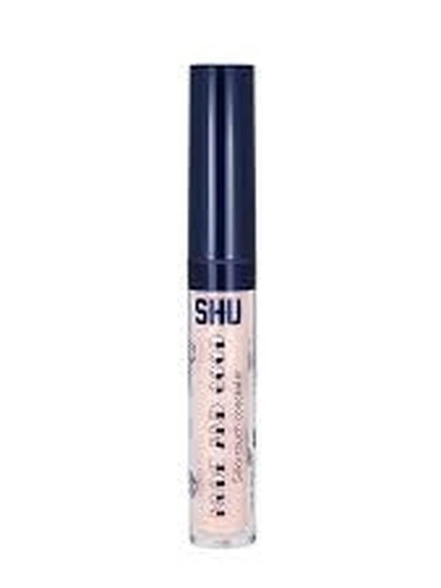 Shu Nude & Good Silky Touch Concealer 313