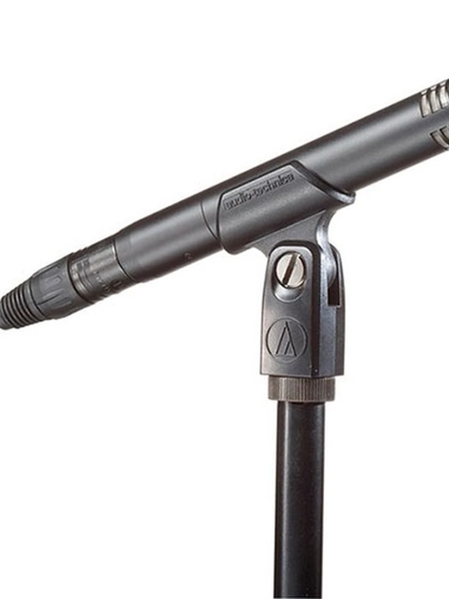 Audio-Technica AT2031 конденсаторный микрофон с кардиоидной направленностью Audio-Technica